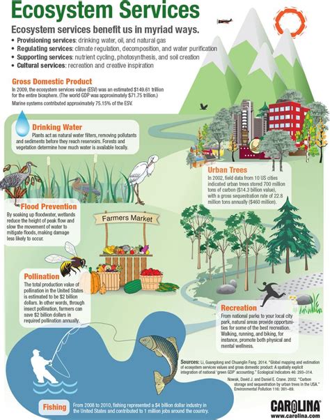 Infographic: Ecosystem Services | Ecosystems, Ap environmental science ...