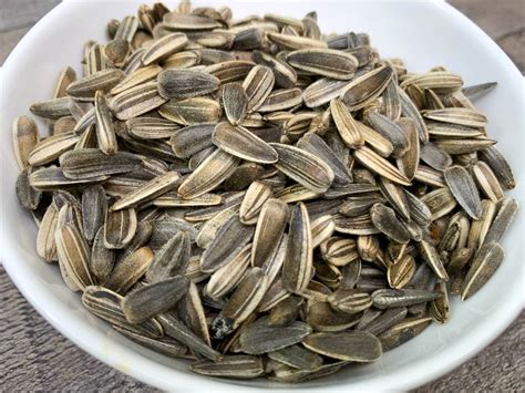 How to Harvest Sunflower Seeds - Hot Rod's Recipes