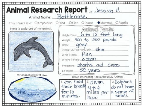 Animal Research - Bracken 1st Grade