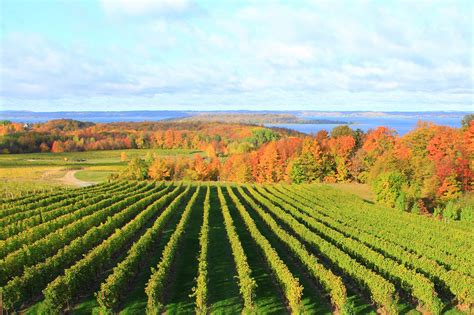 best wineries in michigan with lodging - Biggest Weblog Ajax