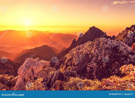 Winter Sunrise Landscape in Huangshan National Park. Stock Image - Image of forest, dusk: 85487101