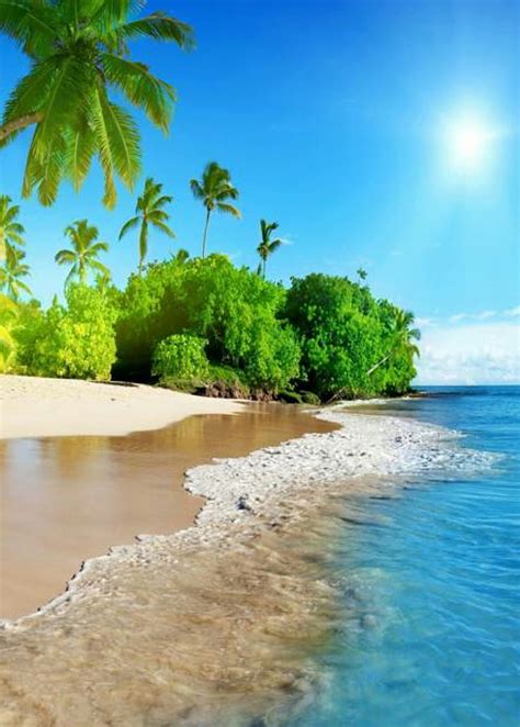 Island Paradise, beach, nature, landscaps, HD wallpaper | Peakpx