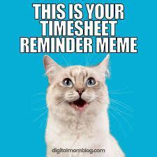 25 Funny Timesheet Memes and Reminders for the Forgetful