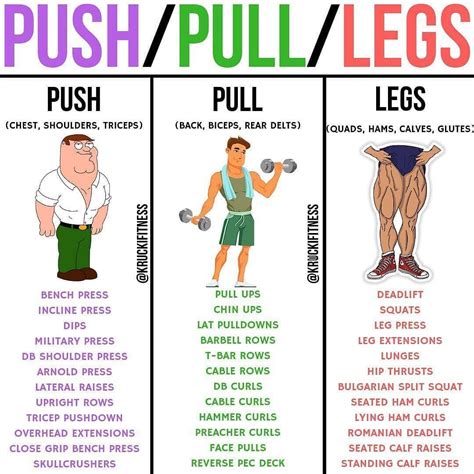 Push And Pull Day Workout Routine