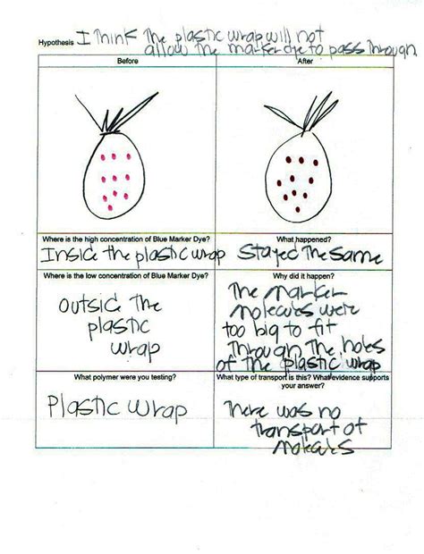 Selectively Permeable Membranes - Activity - TeachEngineering