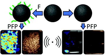 Perfluorocarbon-loaded polydopamine nanoparticles as ultrasound ...