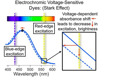 Stark Effect | Potentiometric Probes