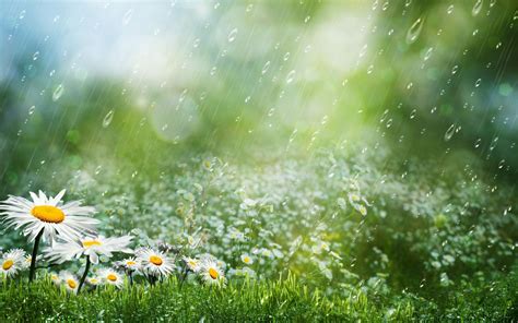 Rainy Spring Wallpapers - Wallpaper Cave