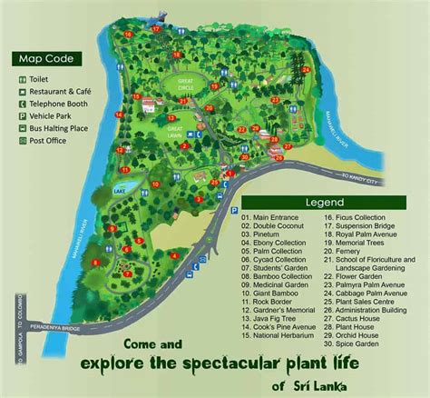 Peradeniya Botanical Garden Map | Fasci Garden