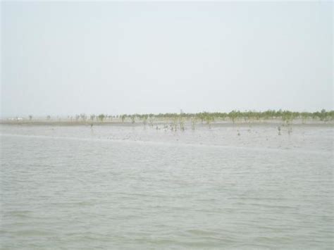 Bakkhali 2021, #15 places to visit in west bengal, top things to do, reviews, best tourist ...