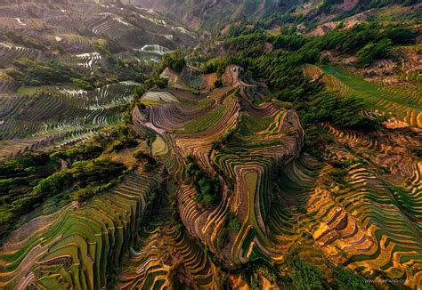 Yuanyang rice terraces #10 | Aerial view, Rice terraces, Nature inspiration