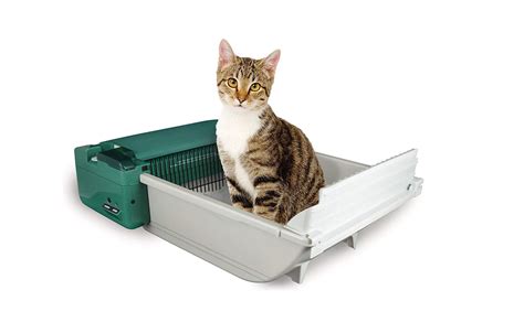 Top 10 Best Self Cleaning Cat Boxes in 2021 Reviews | Guide