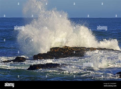 Rough sea at the rocks of Bird Island, South Africa, Western Cape ...