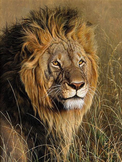 Male Lion Painting by Alan M Hunt - Fine Art America