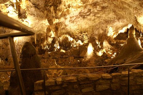 Theall Family: Carlsbad Caverns & BATS!!!!!