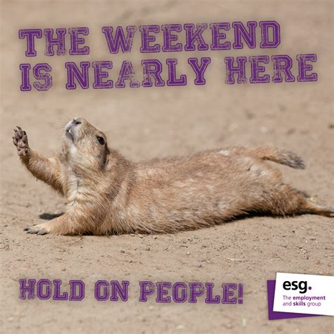 The weekend is nearly here... hold on people! | Weekend meme, Memes, Prairie dog