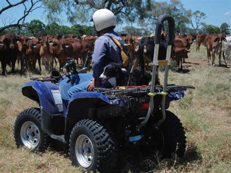 First stage quad bike safety measures now mandatory - Grain Central