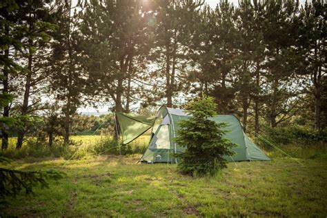 Temporary on-farm campsites inject £25m into rural economy - FarmingUK News