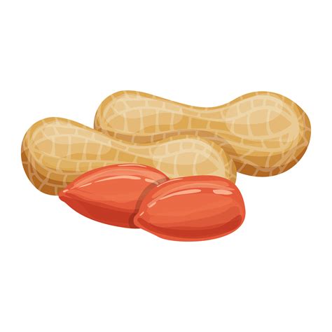 Peanut Shell Coloring Page