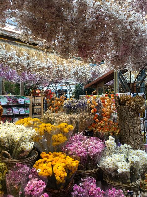 Bloemenmarkt: Amsterdam's floating flower market : travel