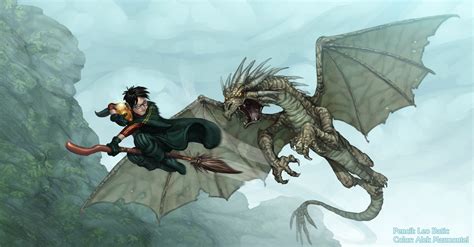 Harry Potter and the Horntail! by Alek-Marmontel on DeviantArt