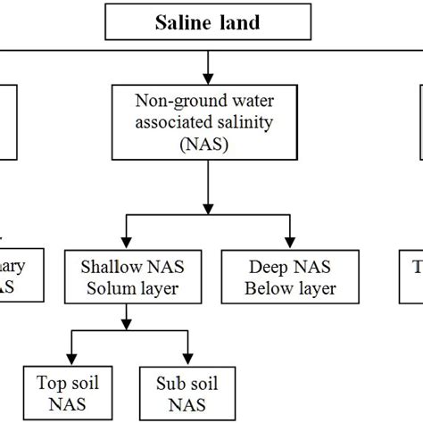 (PDF) Halotolerant Plant Growth Promoting Bacteria Mediated Salinity ...