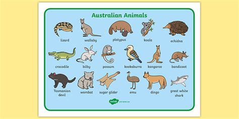 Top 100 + Twinkl australian animals - Lestwinsonline.com