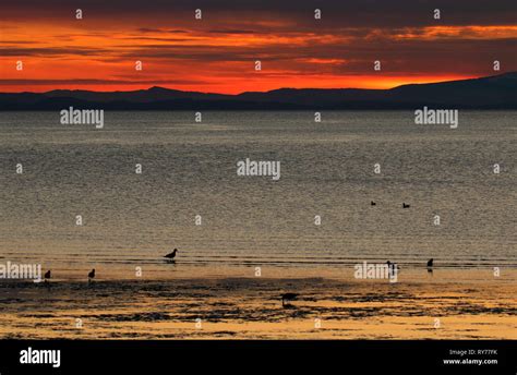 Semiahmoo Bay sunset, Blaine Marine Park, Blaine, Washington Stock Photo - Alamy