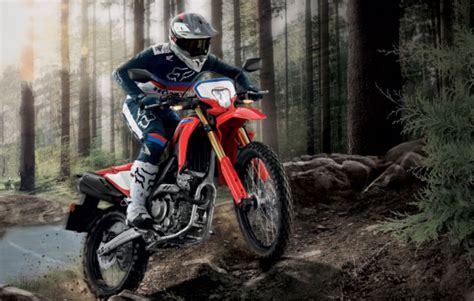 Kawasaki KLX300 vs Honda CRF300L – Which Should You Buy? – OnTheBackWheel.com