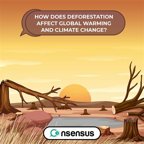 How Does Deforestation Affect Global Warming and Climate Change? - Co2nsensus