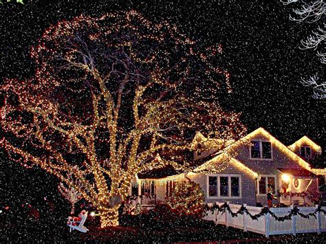 Christmas Lights in Snow Photograph by Rick Todaro - Fine Art America