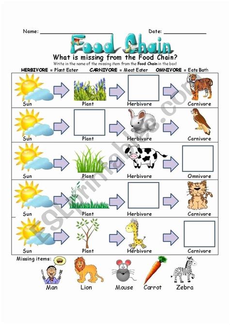 Food Chain Worksheet Pdf Unique Food Chains Biology Worksheet Printable Pdf – Chessmuseum ...