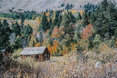 Hope Valley Cabin Photograph — Bessie Young Photography