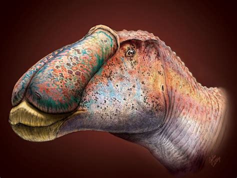 Fossils reveal new details about hadrosaur's appearance | Earth | EarthSky