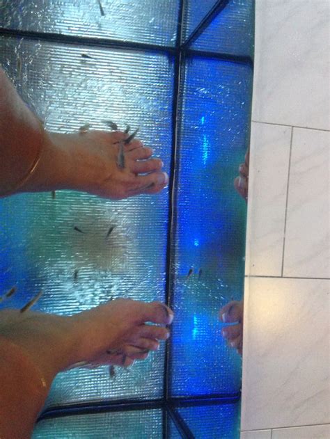 My 1st Fish Pedicure Hmmmmmm | Fish pedicure, Greece travel, Greece