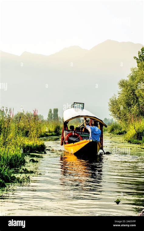 Shikara ride, Dal Lake, Srinagar, Kashmir, India, Asia Stock Photo - Alamy