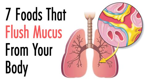 7 Foods That Flush Mucus From Your Body | Power of Positivity