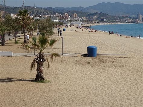 Badalona Beach - 2020 All You Need to Know BEFORE You Go (with Photos ...