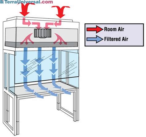 Laminar Air Flow Cabinet Diagram | Review Home Co