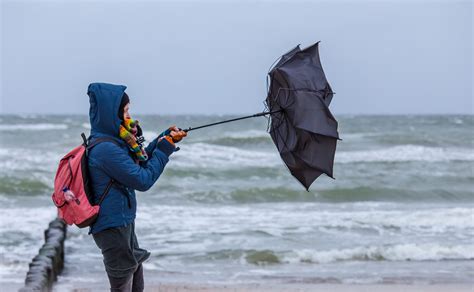 Remnants of Hurricane Ida bring large rainfall, strong winds to parts ...