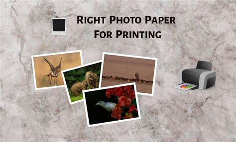 5 Different Photo Printing Paper Types - PhotographyAxis