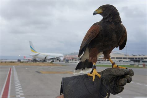 Sustainability Commitment by Spanish Airport Authority - Corvera Airport Travel