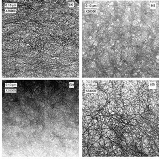 Typical TEM images of products at different preparation times, (a) 0 h... | Download Scientific ...