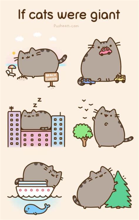 Pusheen Cat Memes