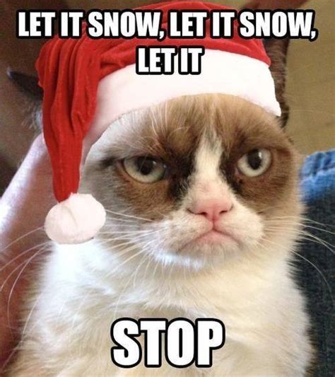 Grumpy Cat Christmas Meme 007 let it snow - Comics And Memes