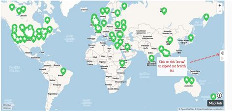 Origin of Cat Breeds - Nearly 100 Breeds on the Interactive Map