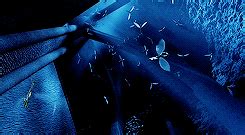 harry potter - Which direction do the Winged Keys ( or Flying Keys) fly? - Science Fiction ...