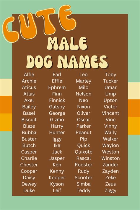 Unique male dog names 200 charming and unusual dog names – Artofit