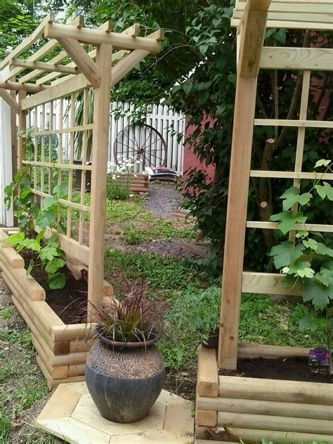 grape trellis #gardenvinesdiy #gardenvinestrellis | Vegetable garden ...