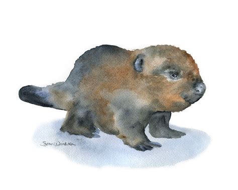 Baby Beaver Watercolor Painting Giclee Print 10 x 8